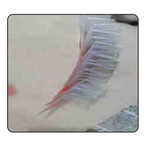 PVC Labels - Image 8